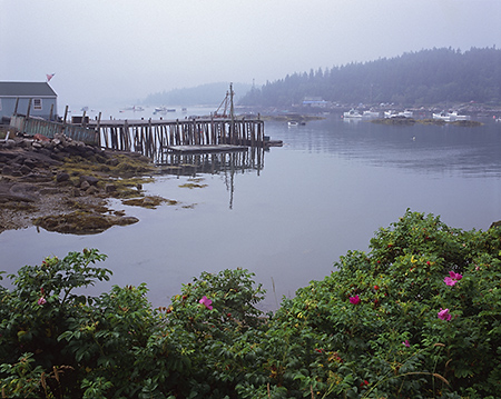 Foggy Cove, Stonington, Maine